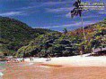 /album/galeria-de-fotos/n-ilha-anchieta-jpg/
